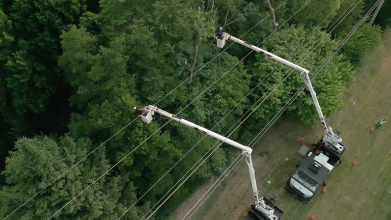 Best Utility Line Clearance  in Whiting, WI